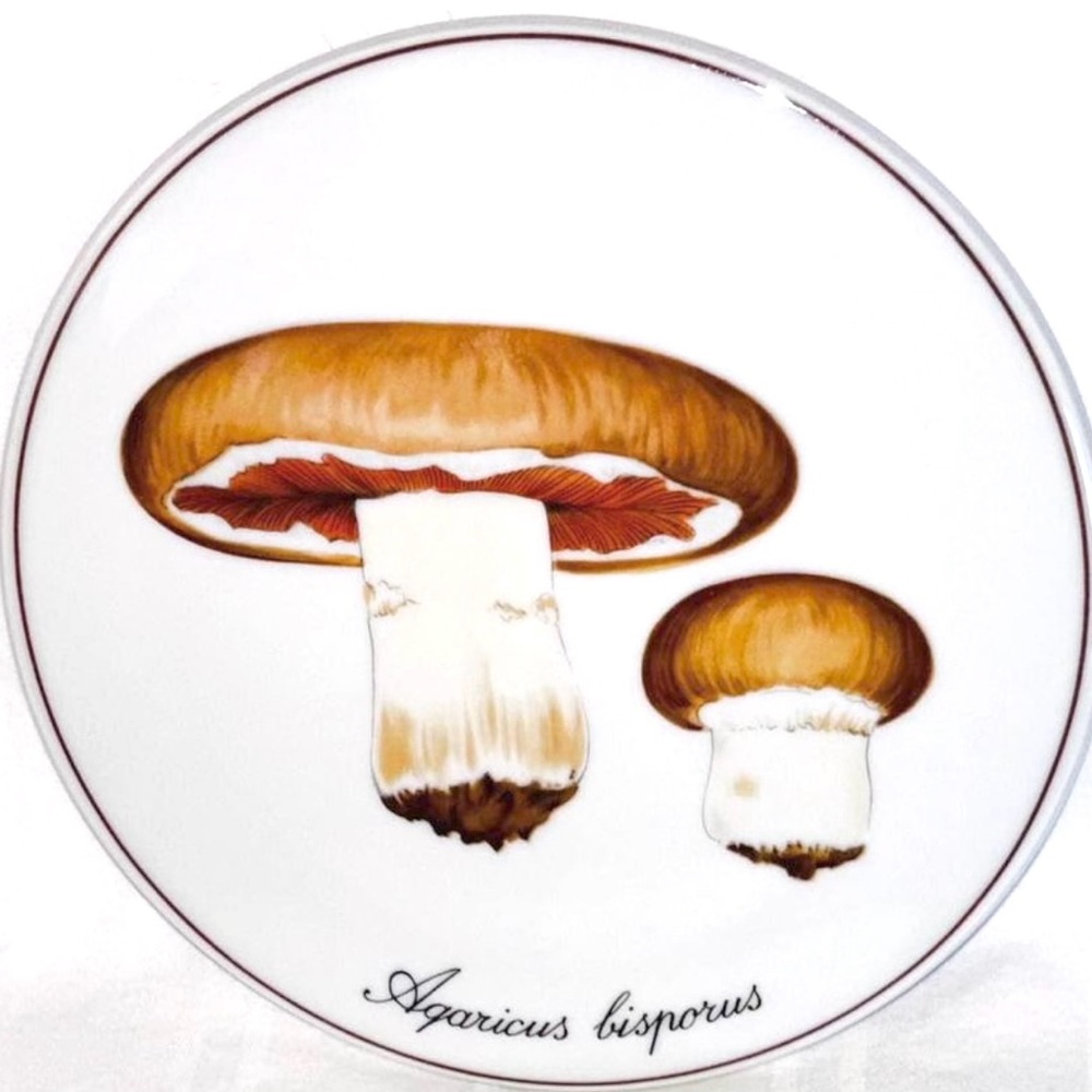 Copenhagen Porcelain B&G Mushroom Trivet Wall Plate Bing Grondahl Vintage Danish